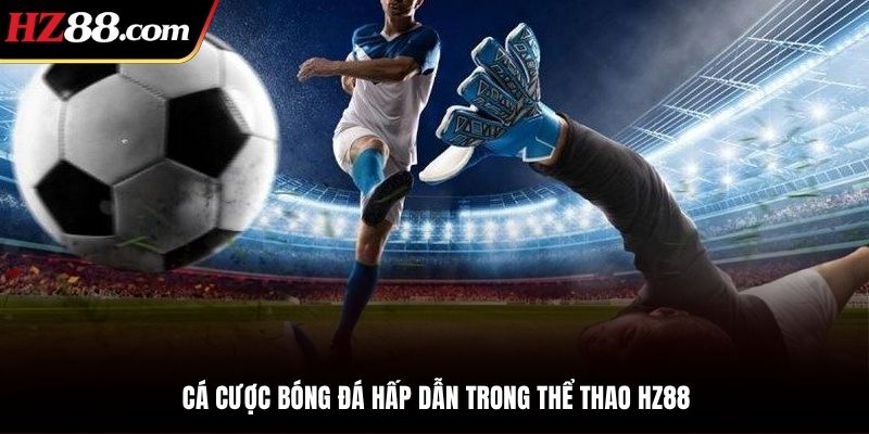 Cá cược hấp dẫn cùng kèo bóng đá chất lượng cao